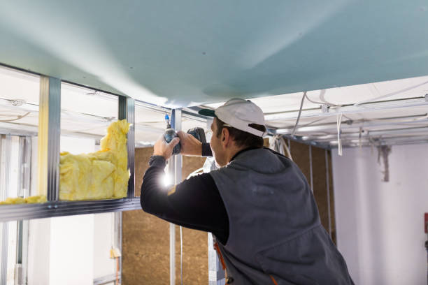 Best Spray Foam Insulation in Surgoinsville, TN