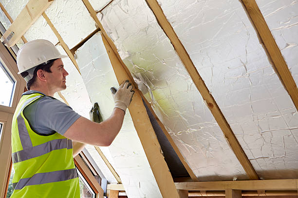 Best Cellulose Insulation in Surgoinsville, TN